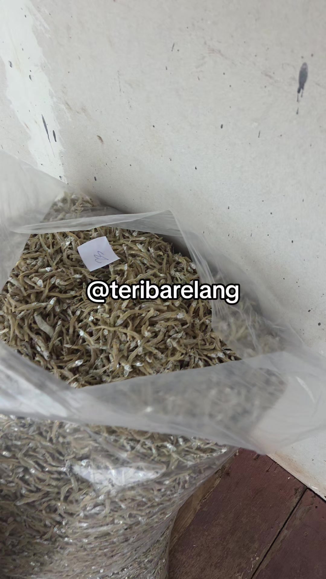 @Teri Barelang