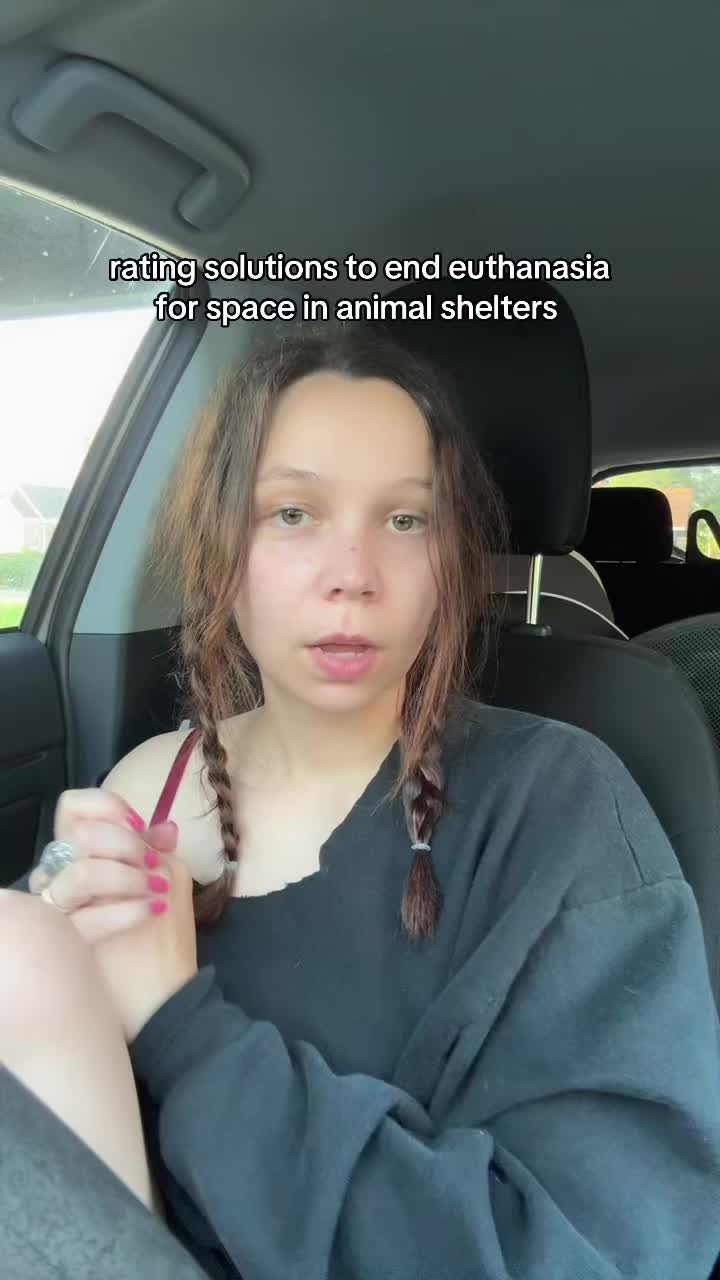 @Kayleigh + Dogs