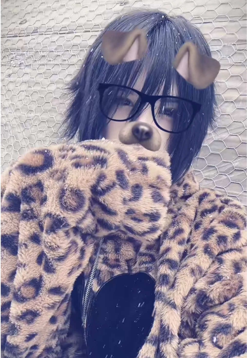 @Noctis