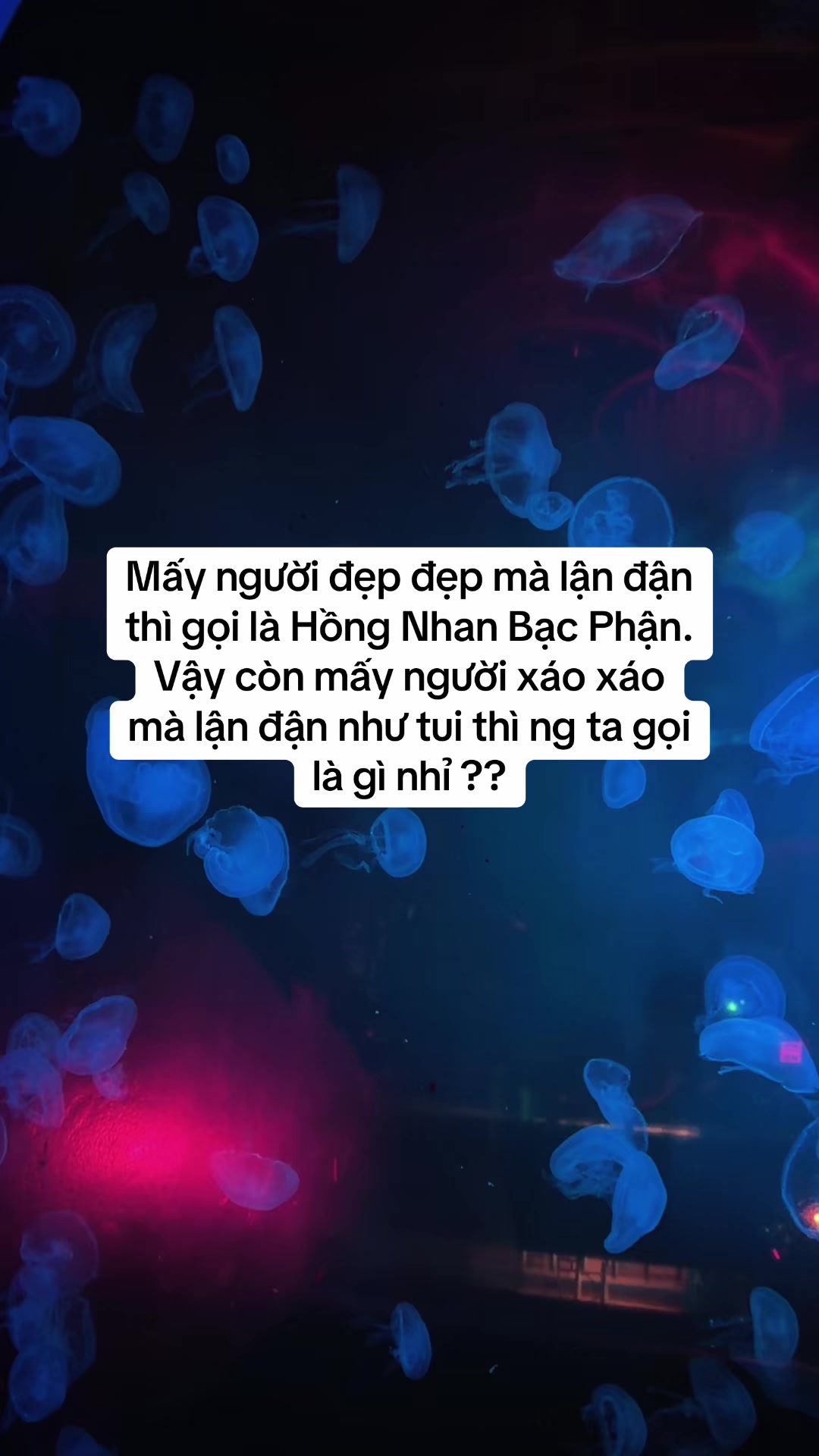 @Thuý Sống Ở Mỹ 🇺🇸