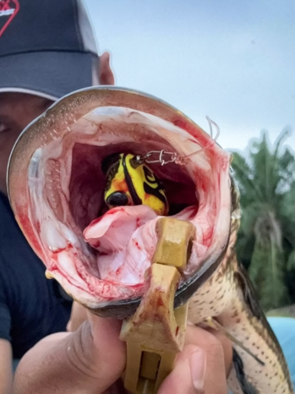 @EXP FISHING
