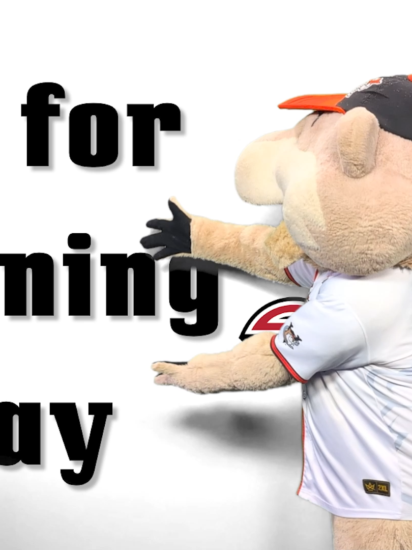 @ValleyCats