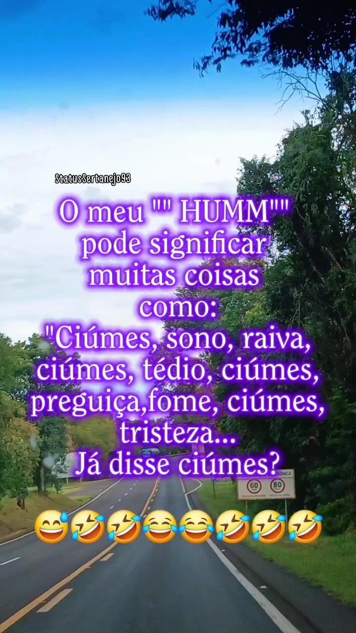 @StatusSertanejo93