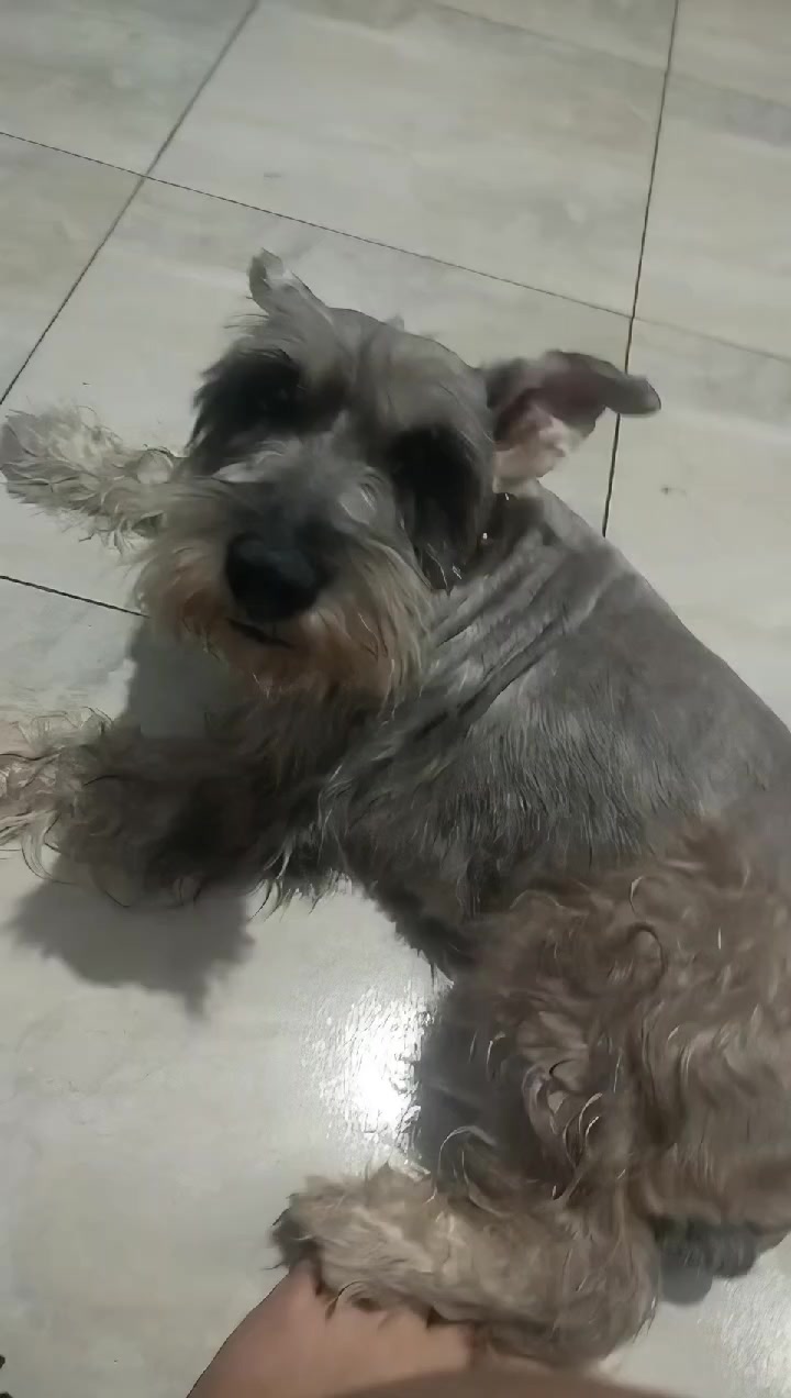 @HeiiMii