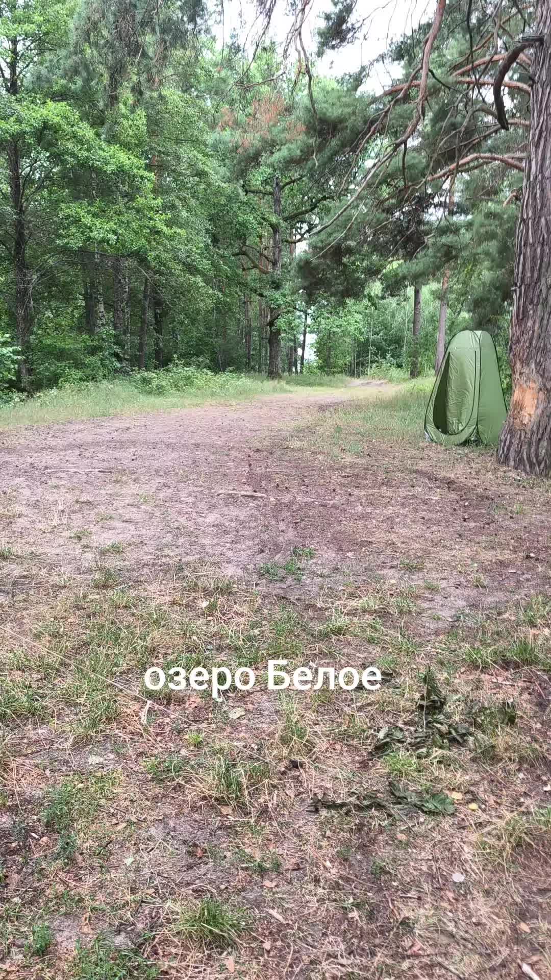 @yuricsolikcarp