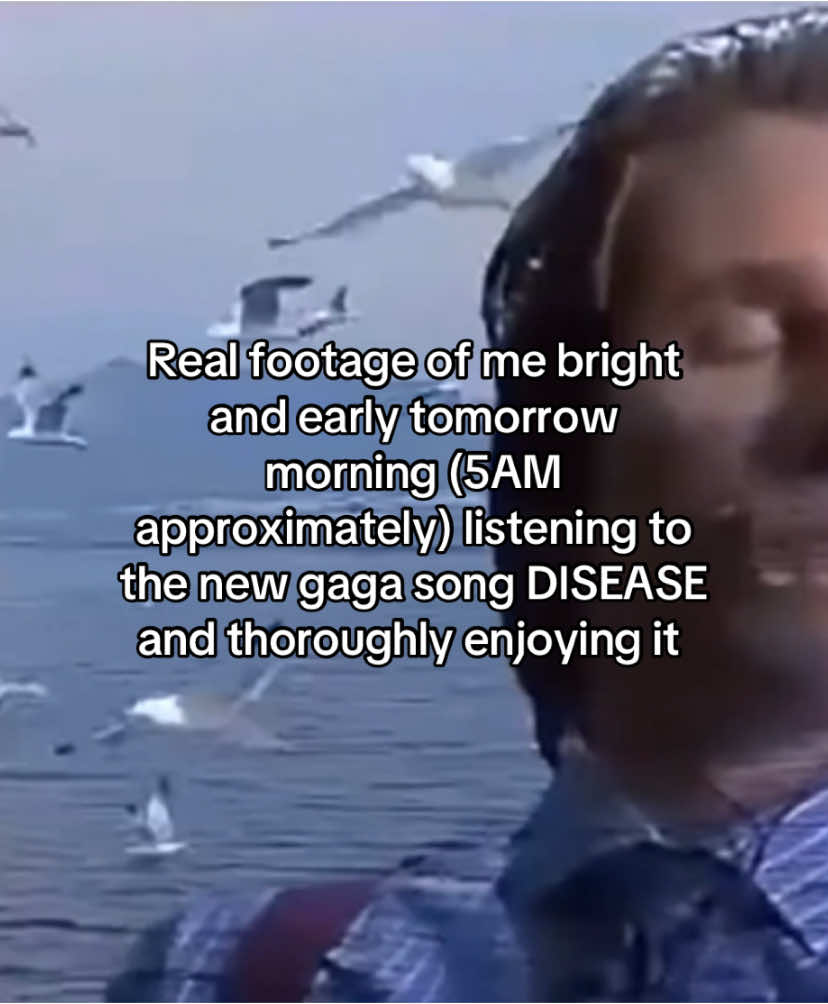@CARA 🪲