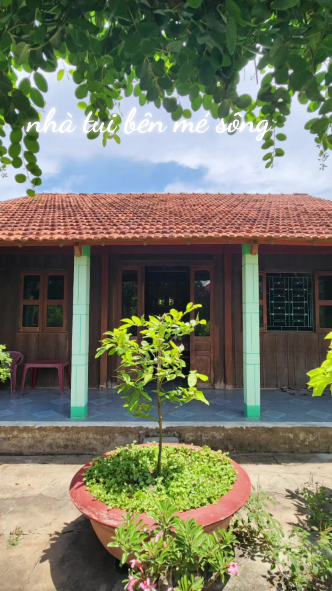 @Nguyễn Quốc Thệ