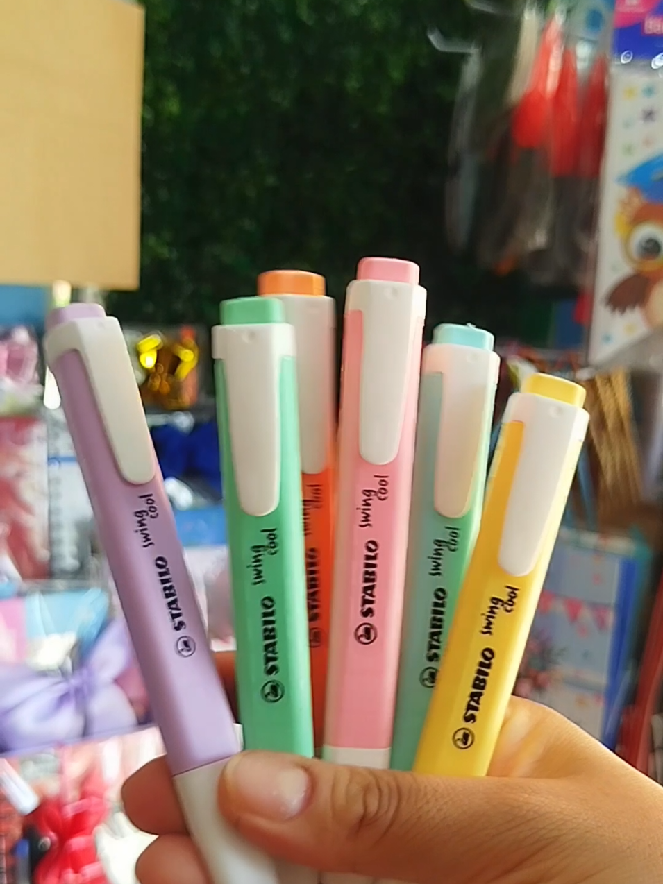 @Papelería Vite
