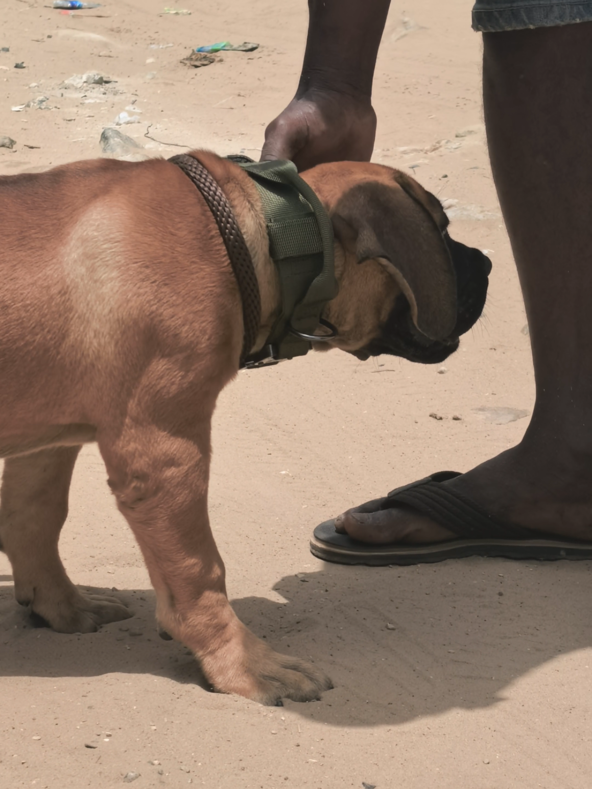 @Irie Boerboels Sn