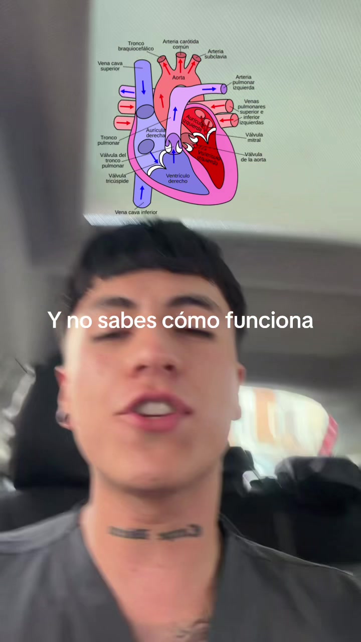 @ENDOBOY