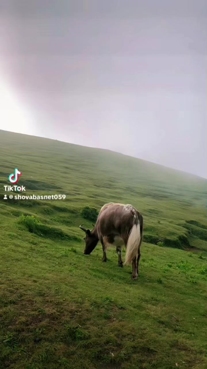 @shovabasnet059