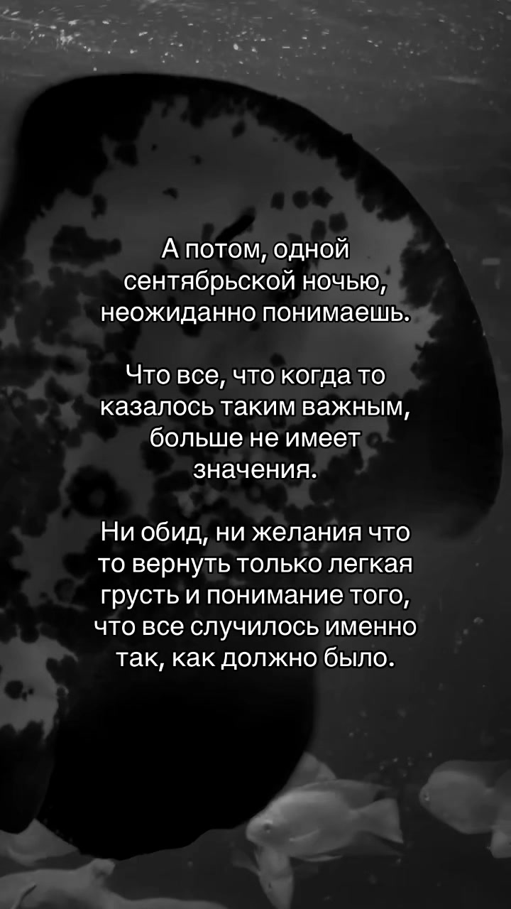 @Romantic_music🎧🍷