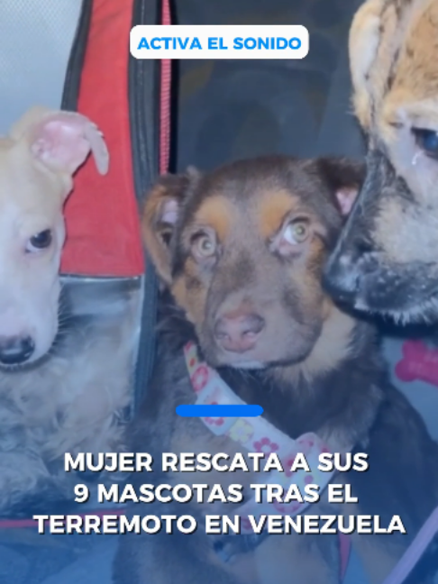 @Peri&oacute;dico El Mexicano