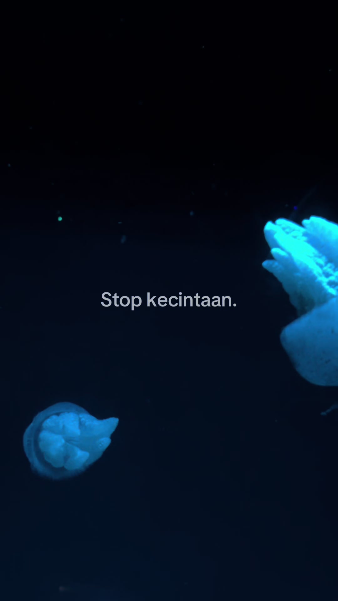 @𝗗𝗶𝗮𝗻𝘆