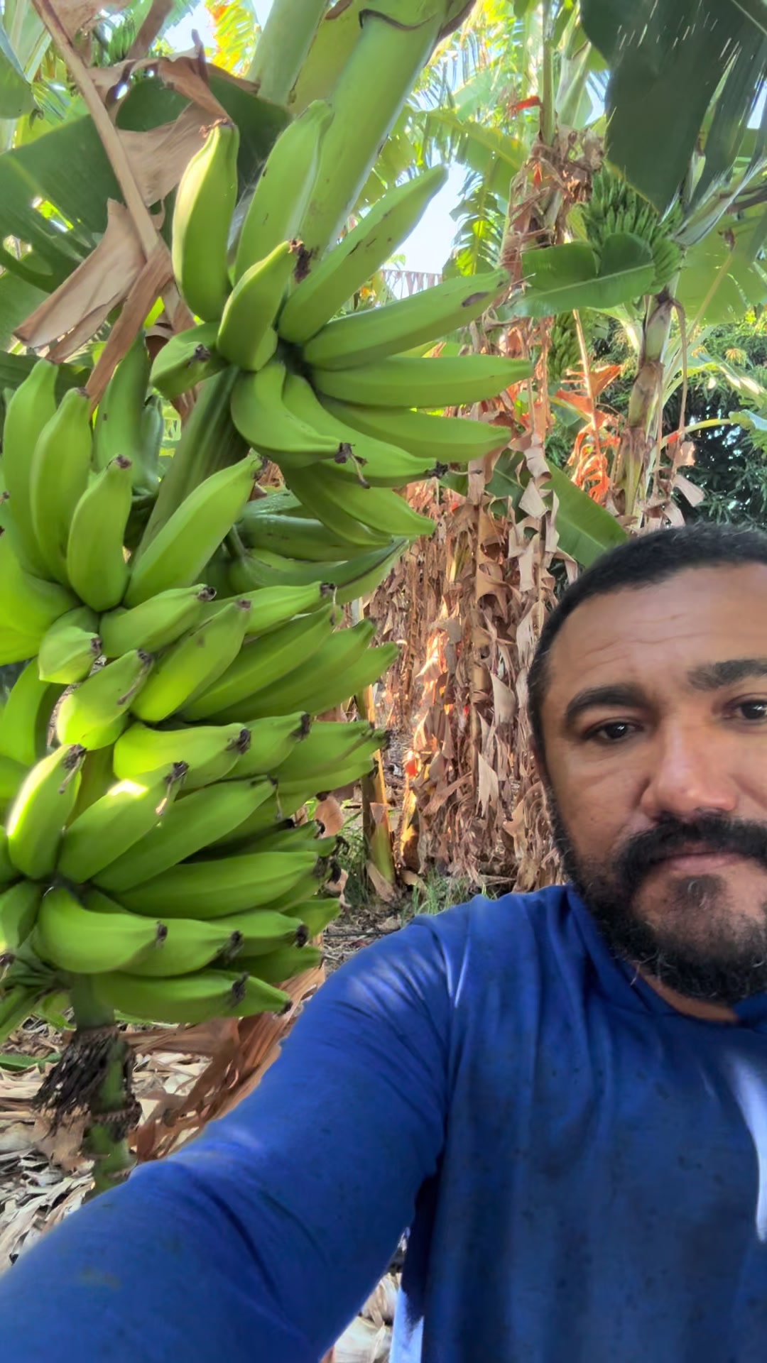 @Cícero Maicon Lopes