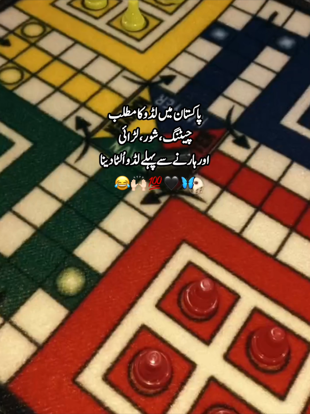 @🐼᭄❥شہــــــــــــــــزادی💗🌷