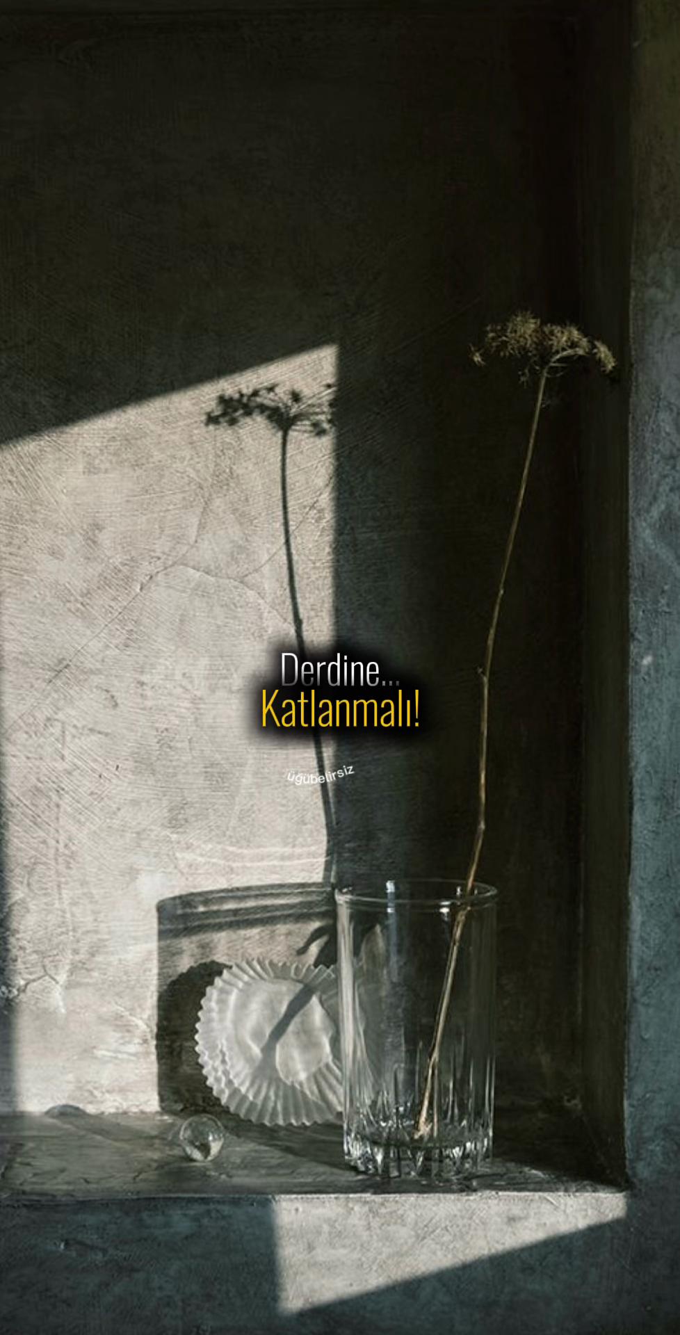 @ne_idugubelirsiz