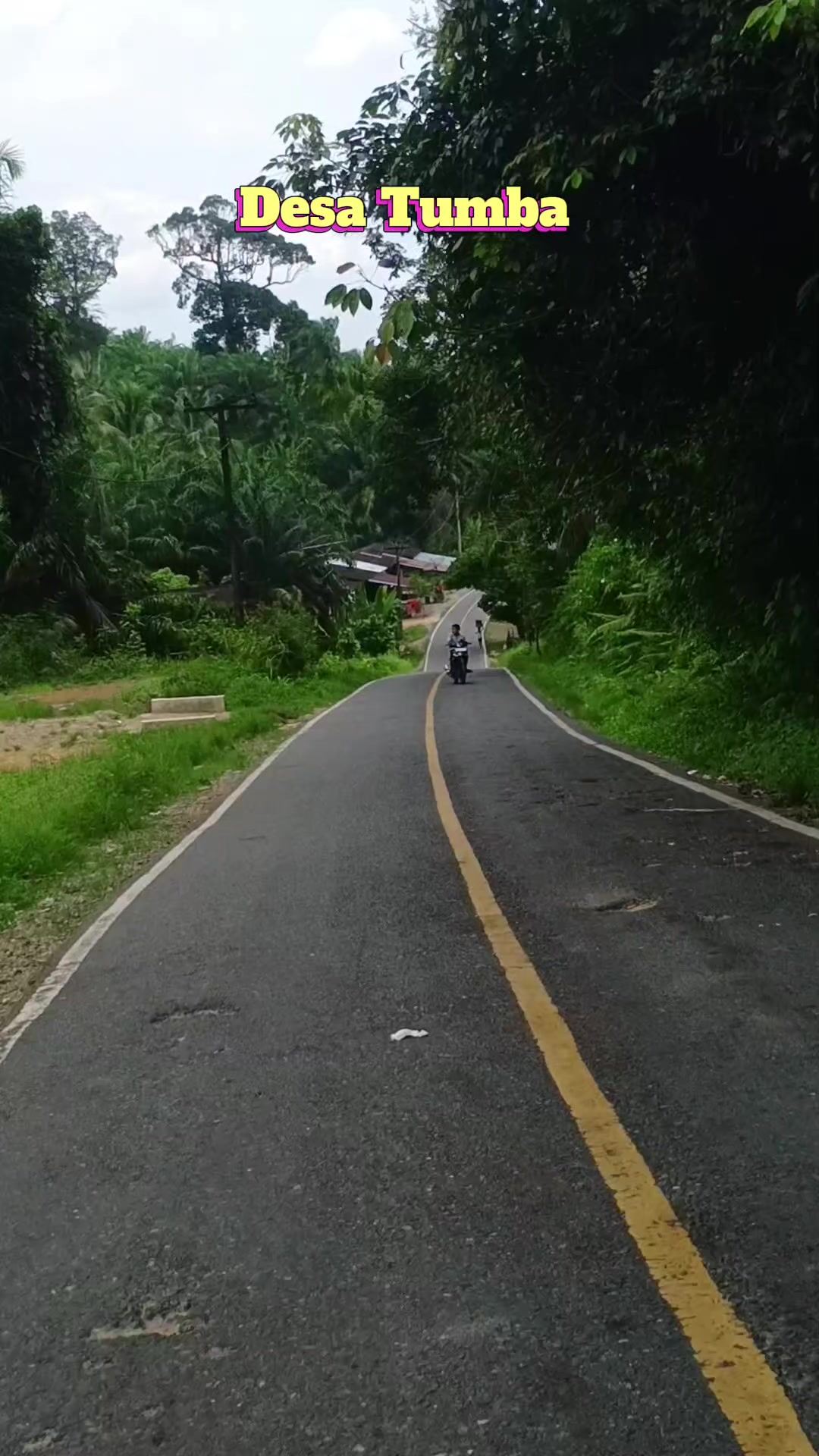@Parsumbul Julu