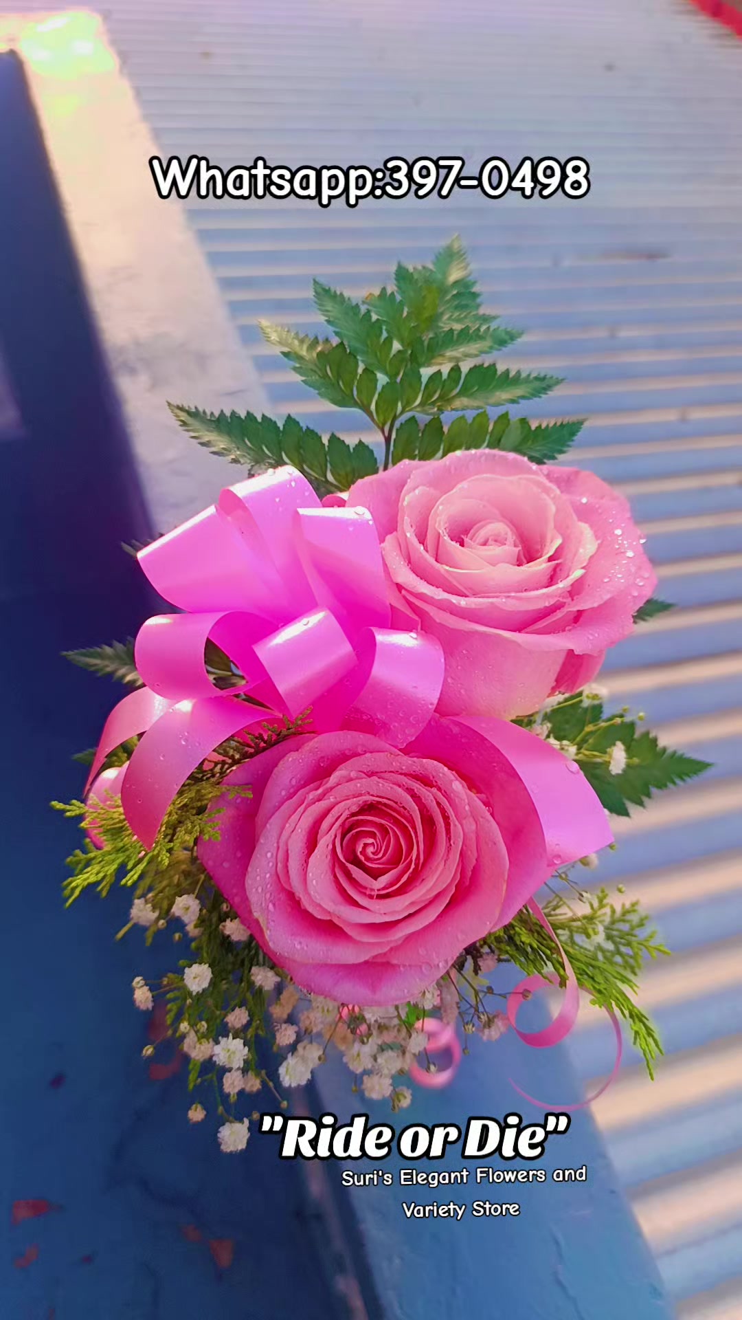 @Aries_Suri007