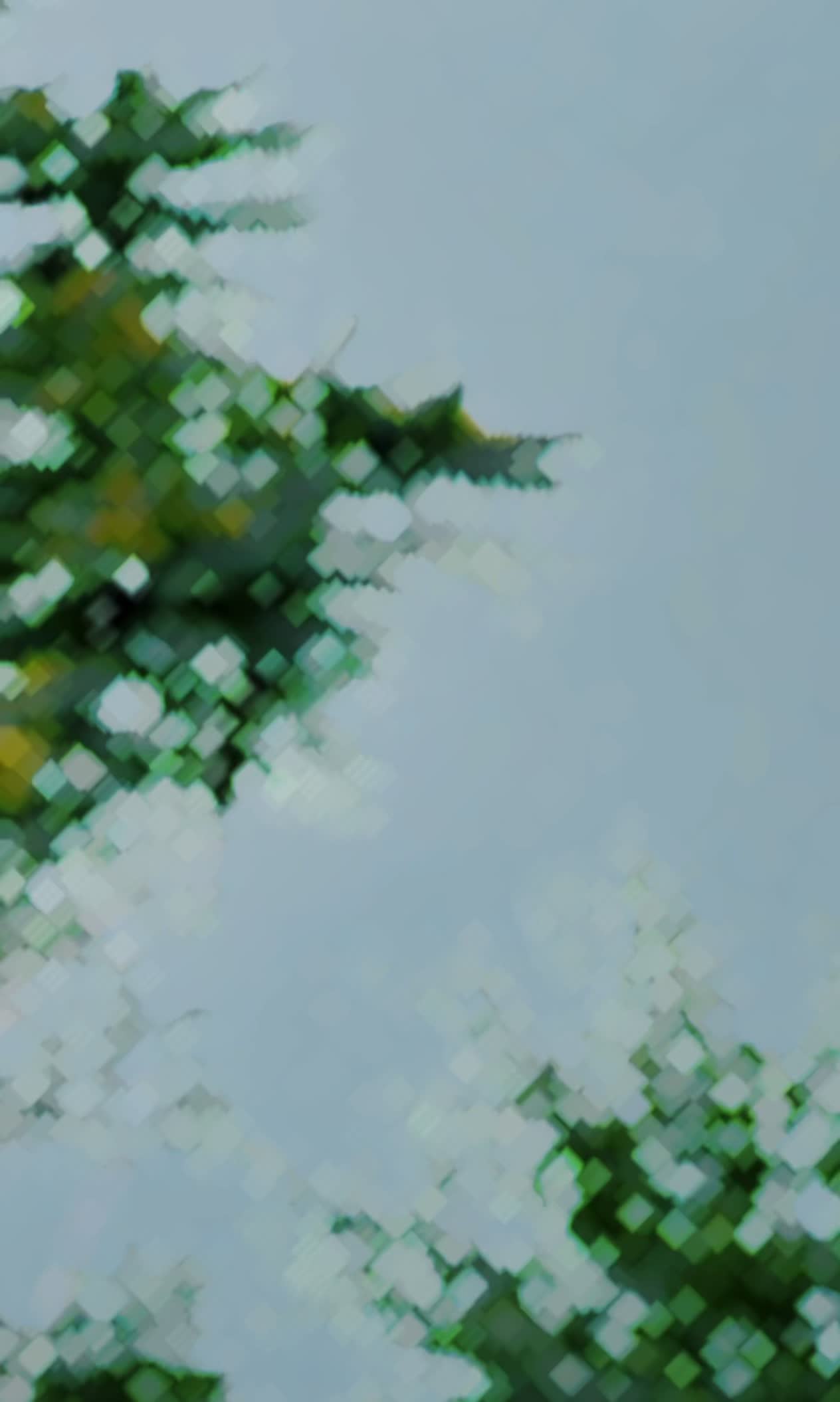 @👻SALMAN🫀