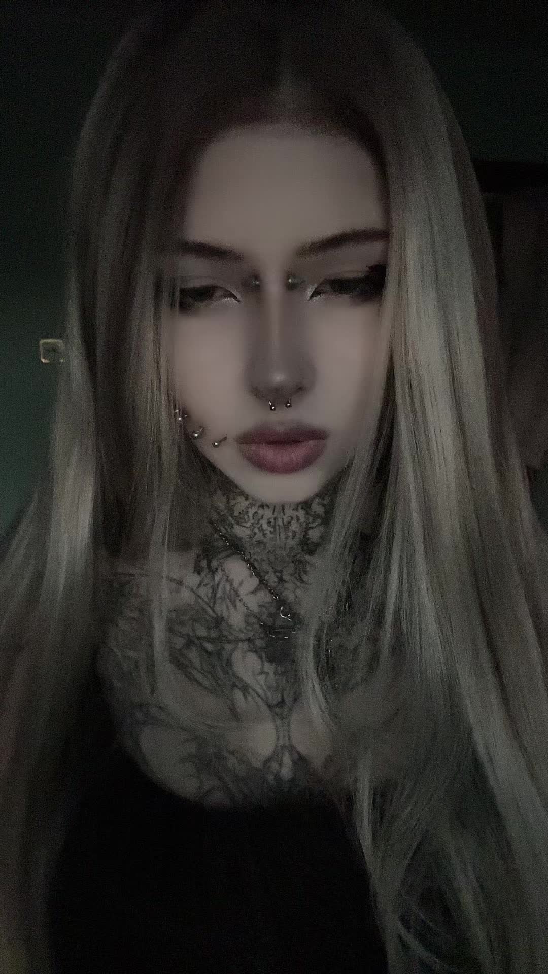 @dark dynasty