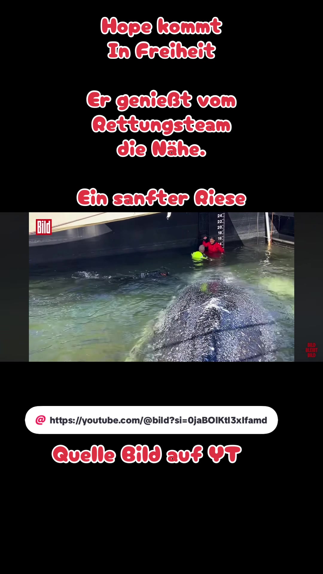 @Niela_75🥷Team 404🥷