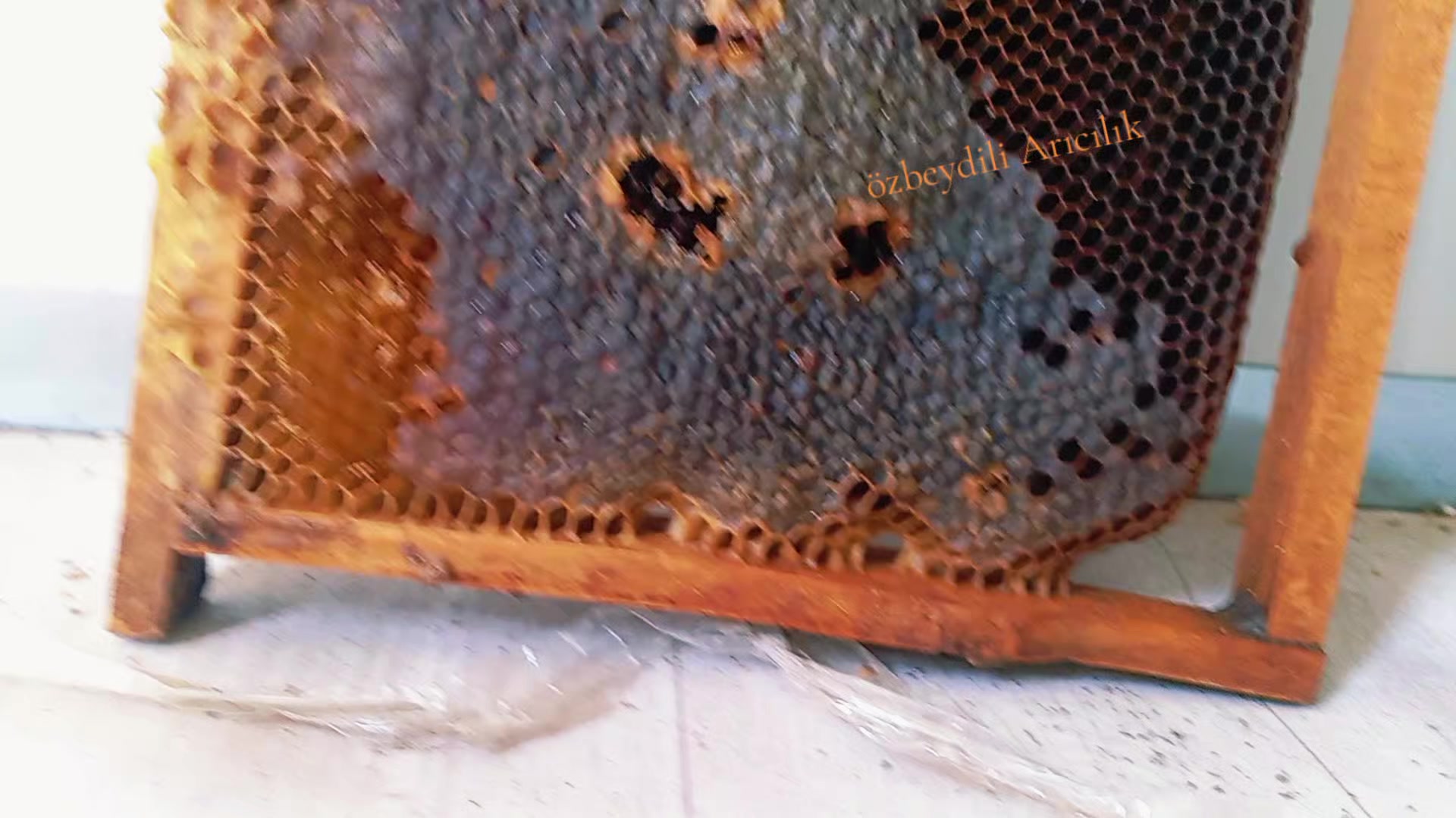 @🐝ÖZ BEYDİLLİ - ARICILIK🍯