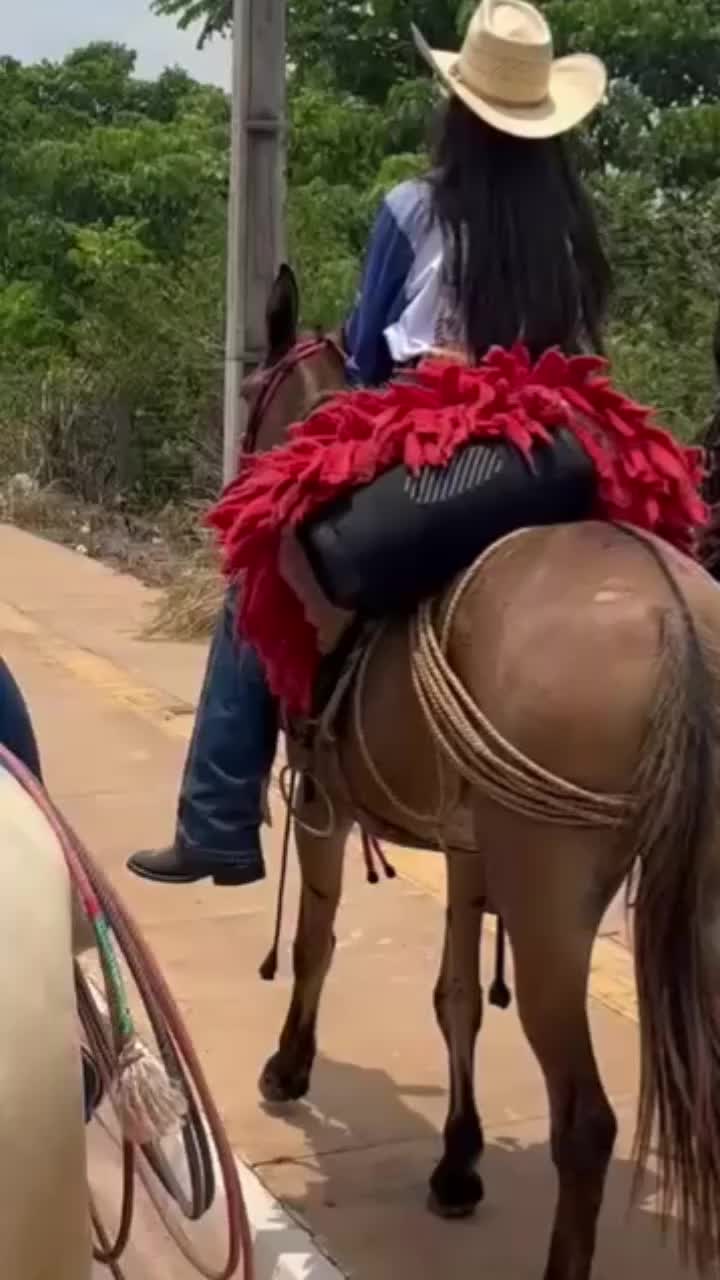 @campos