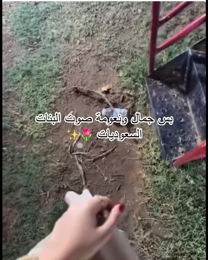 @نونني 𐙚