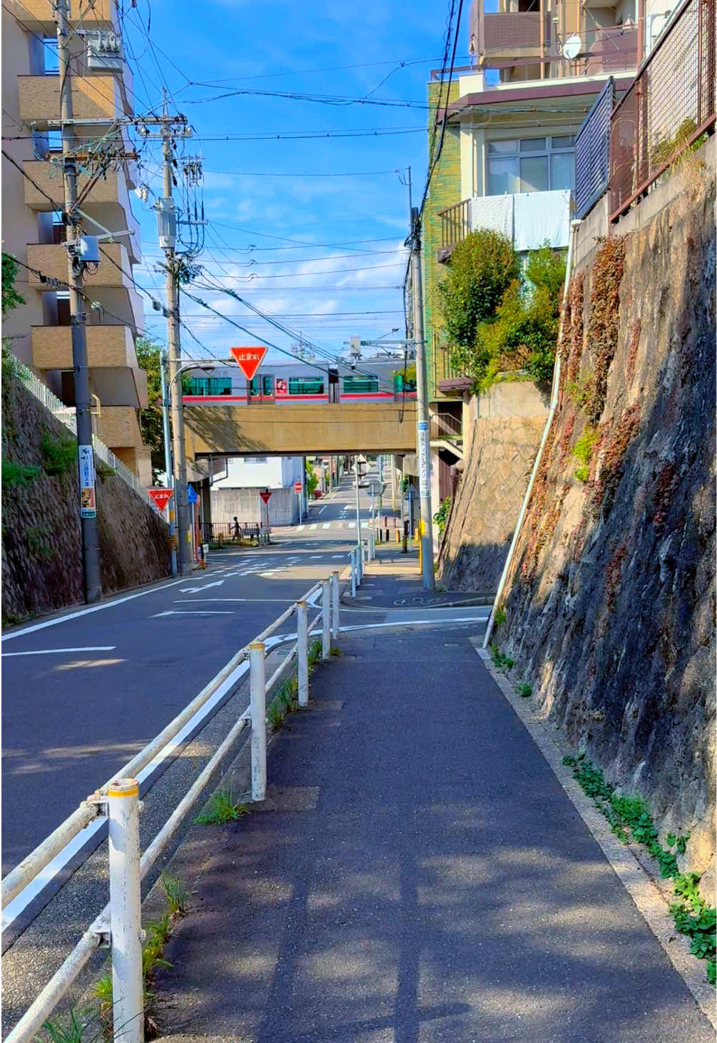 @Nagoya Street Walk