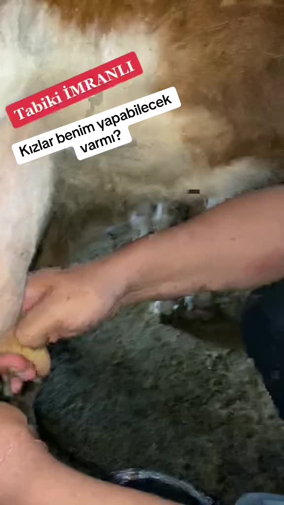 @&Ouml;zkan &Uuml;z&uuml;m