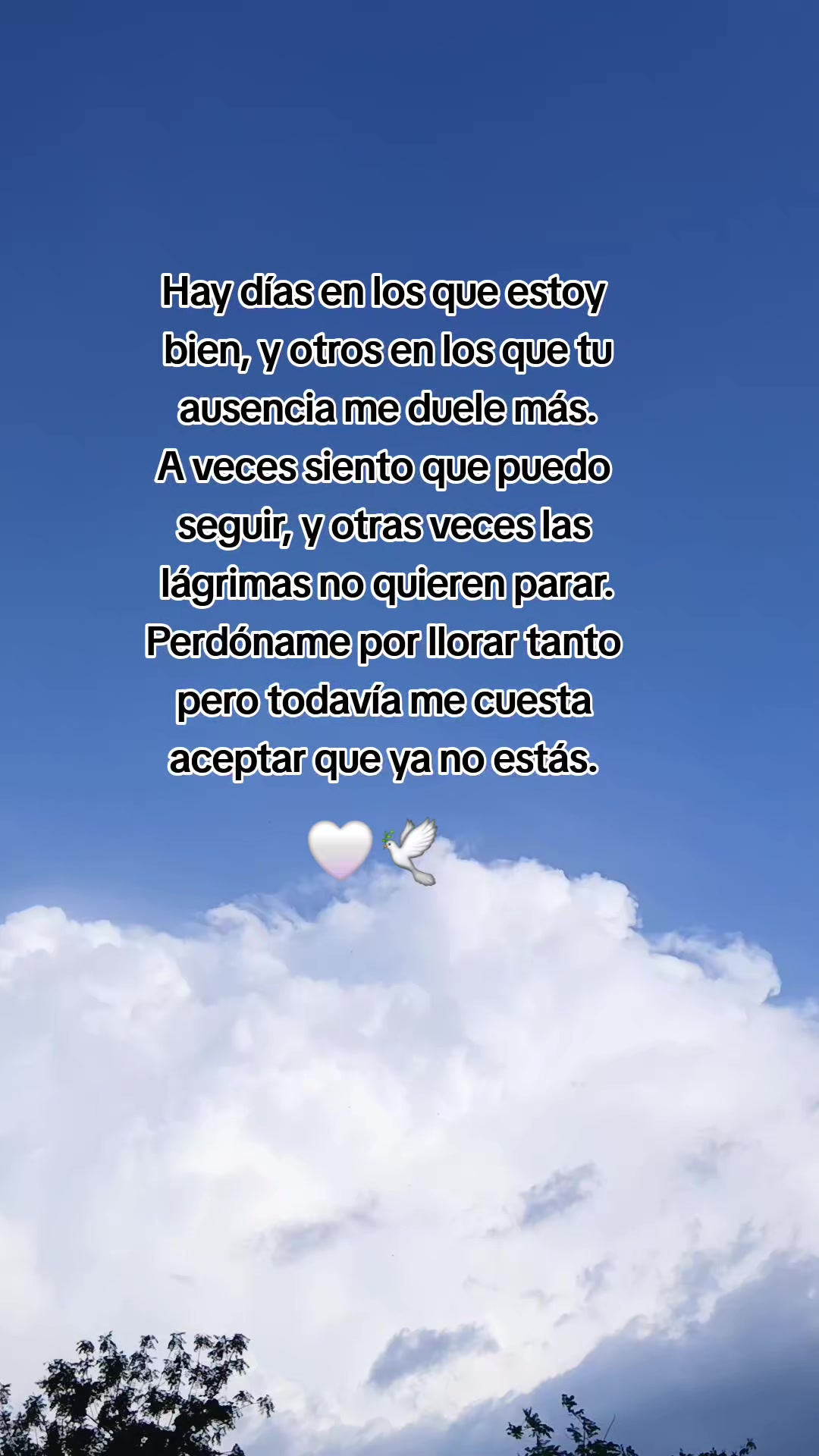 @🦋 Ramirezz 🦋