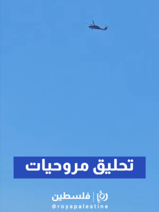 @Royapalestine رؤيا فلسطين