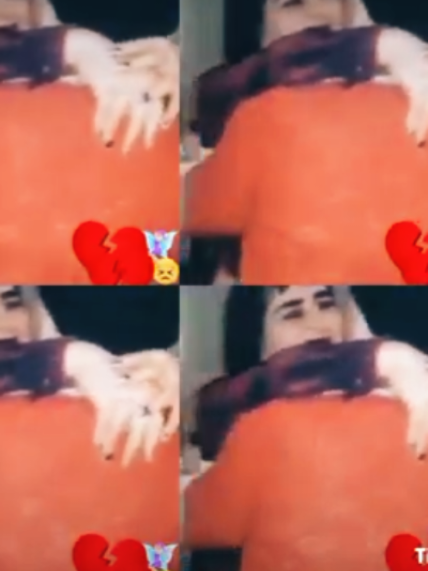 @แแแแ๐ฆ๐๐๐ฆ