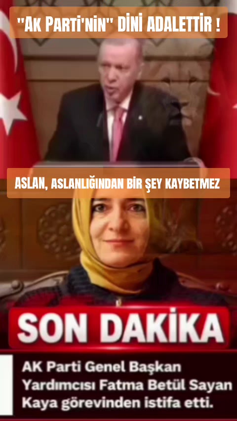 @🇹🇷🦈 Yavuz Ayık