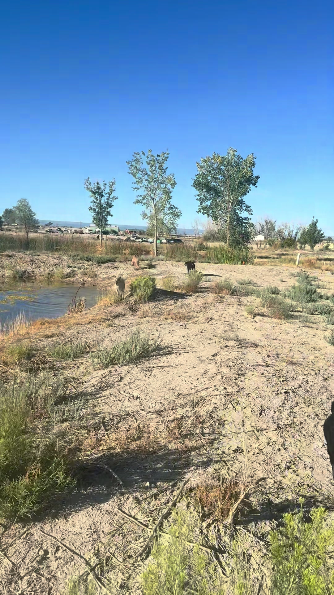@Covenantkeepersk9