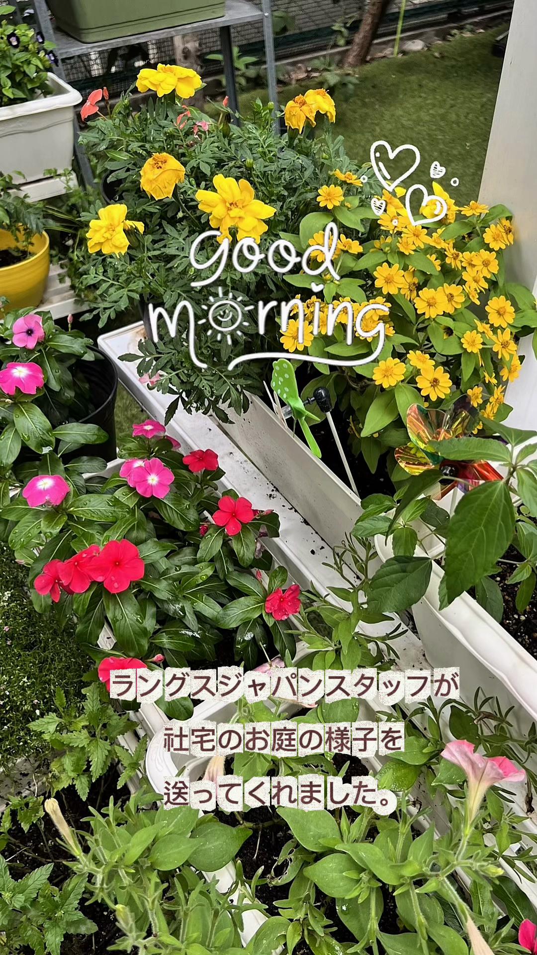 @Rin&jun 兄弟&M