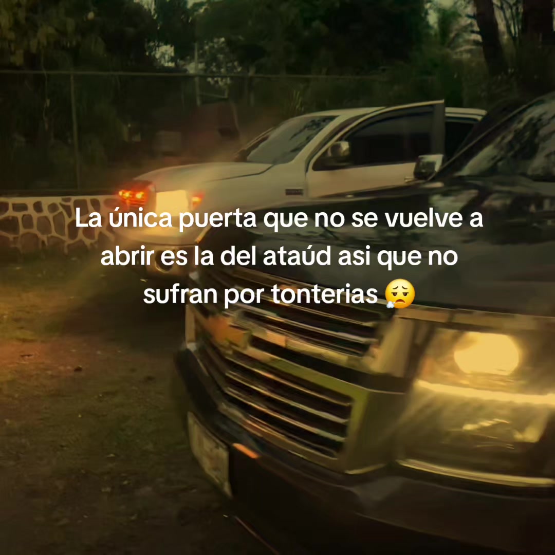 @Junior Hilux🥷