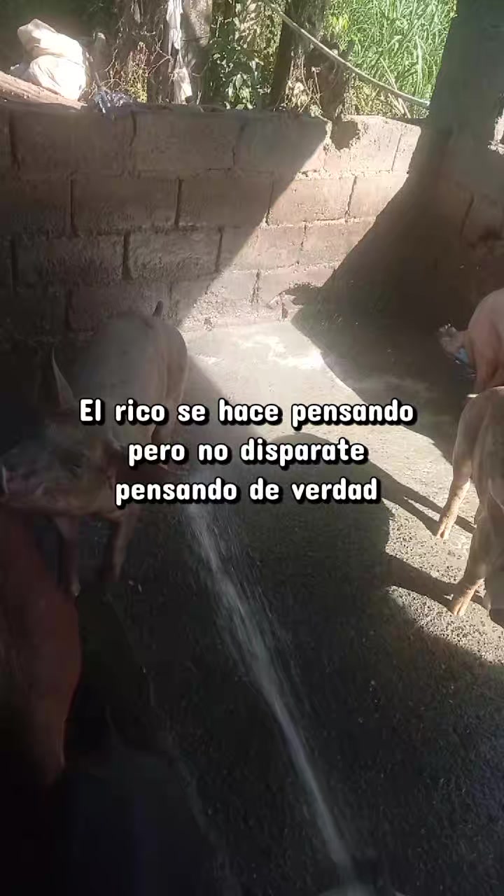 @La cubana Oficial