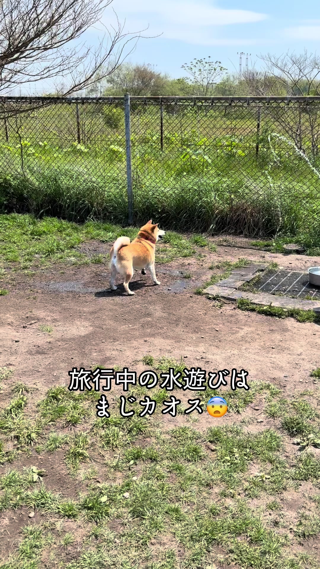@nana0209 🪽🥴
