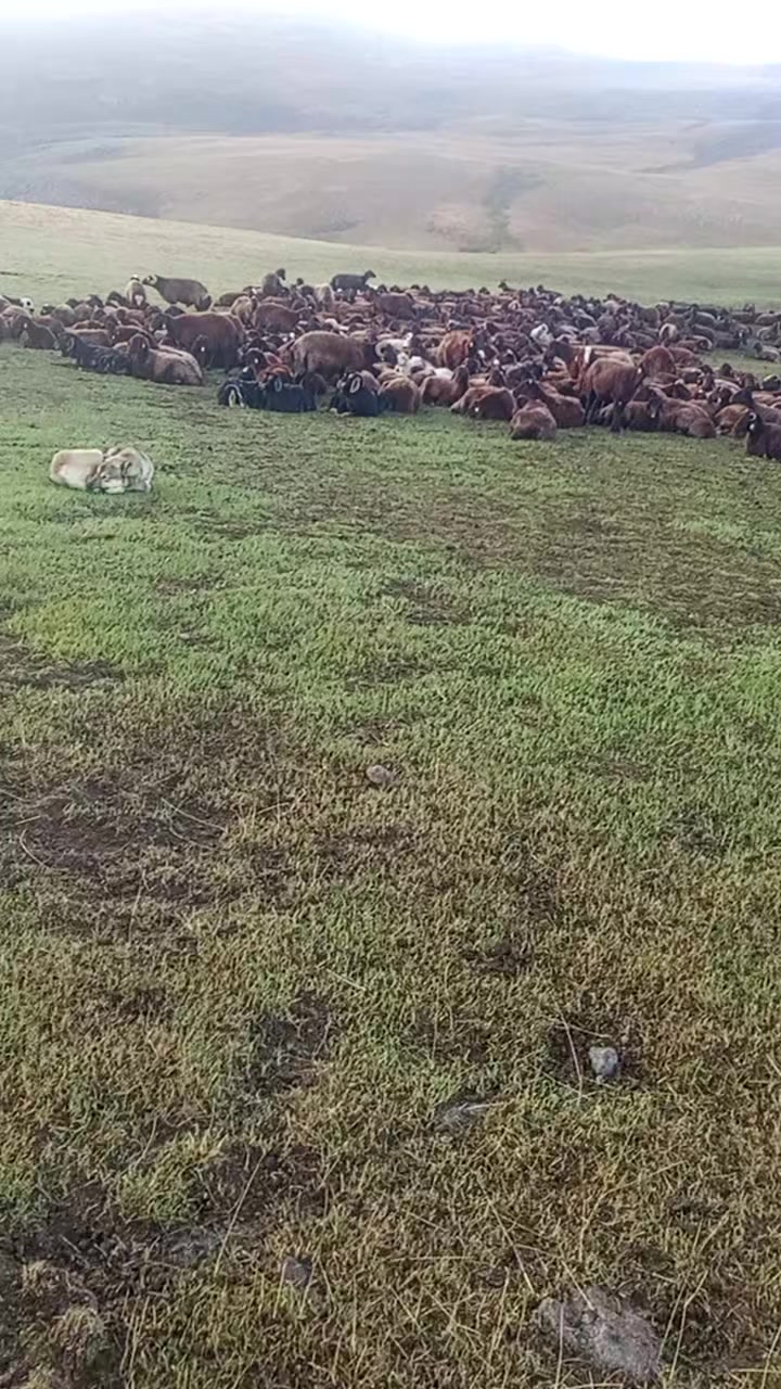 @🦅Koçero 🦅7676