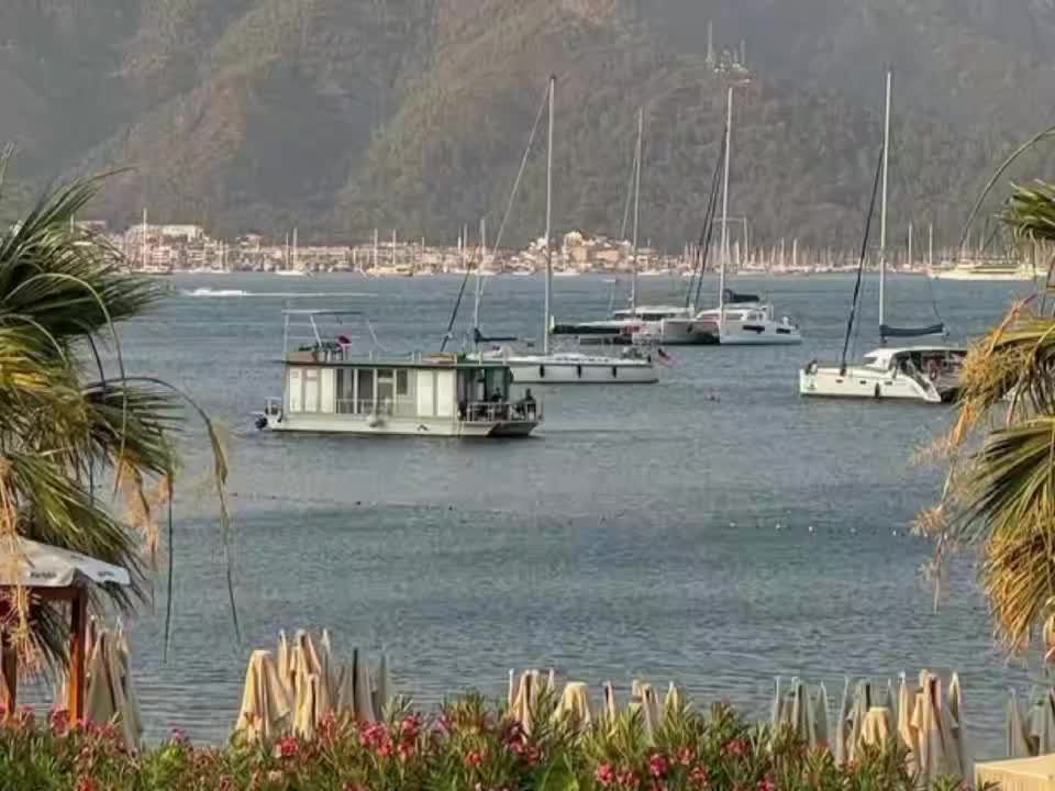 @𝓔𝓵𝓬𝓪𝓷🍃
