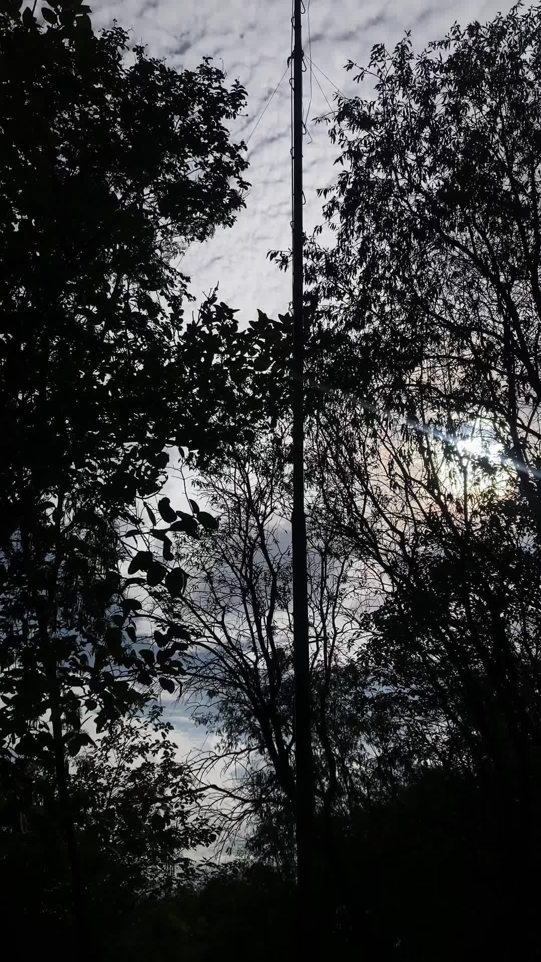 @𝑬 ރ