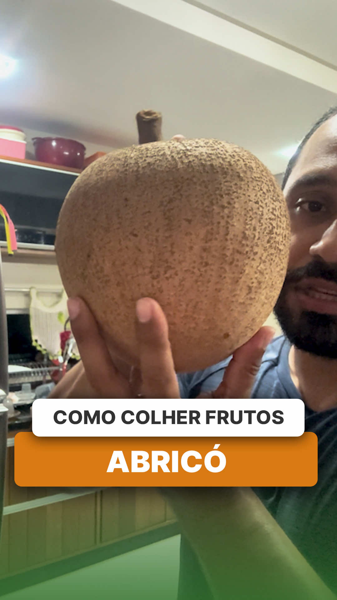 @ViveiroProMudas
