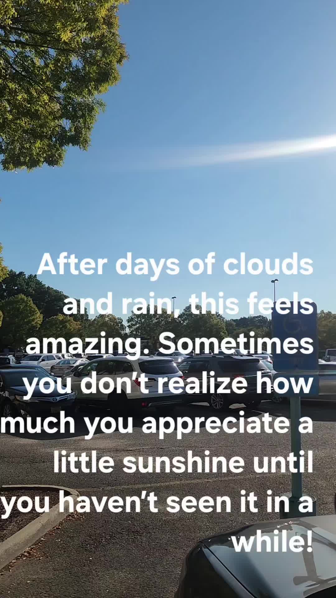 @pj cote