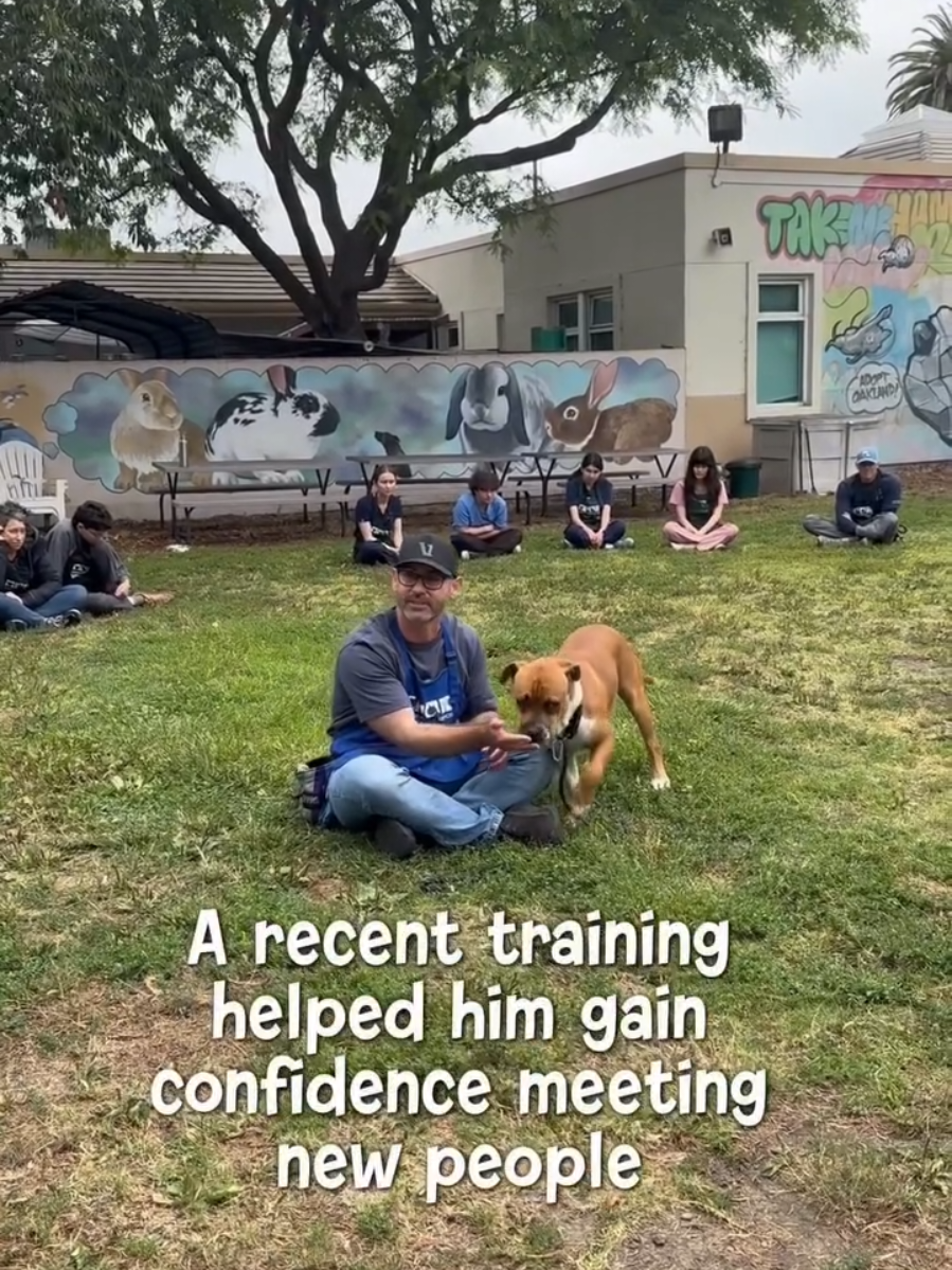 @Oakland Animal Services