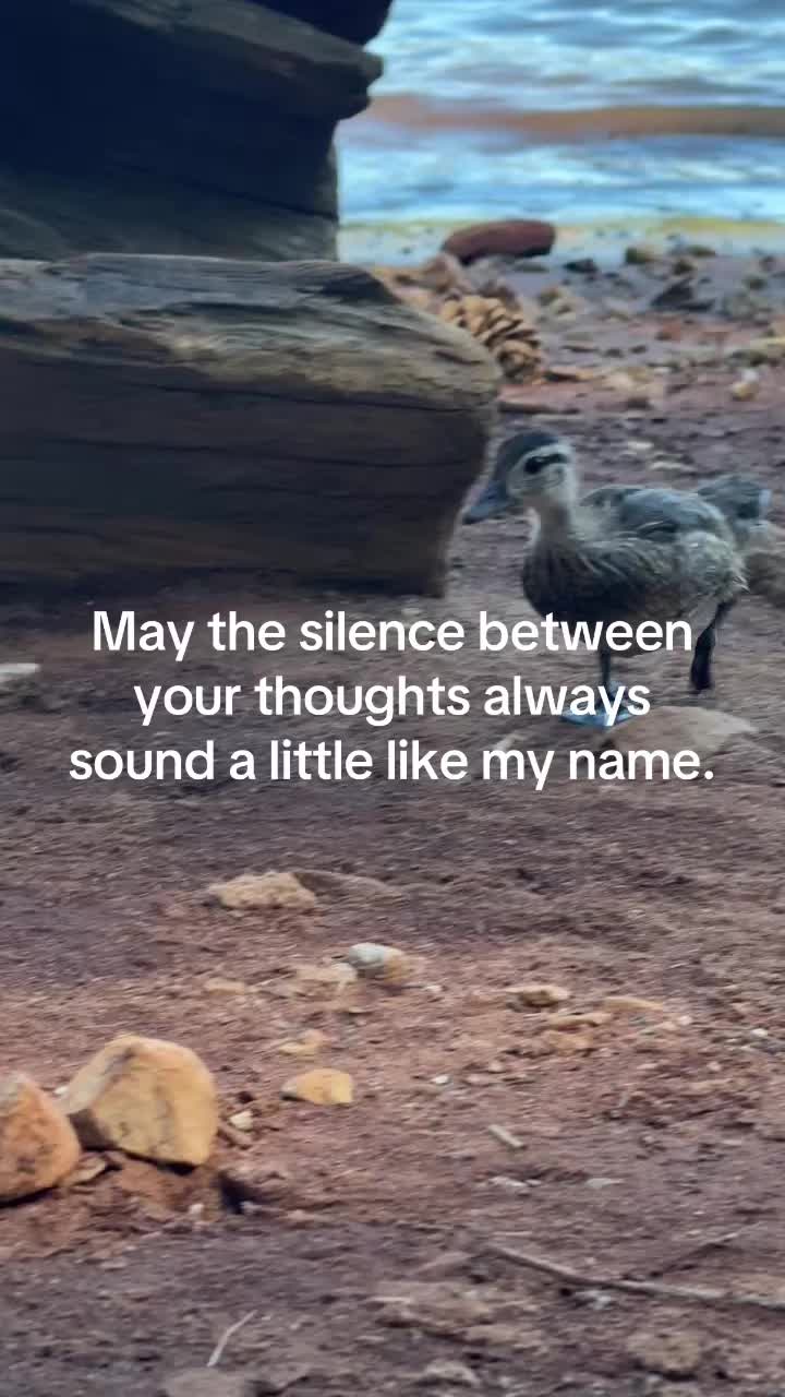 @BoundariesofmyHeart