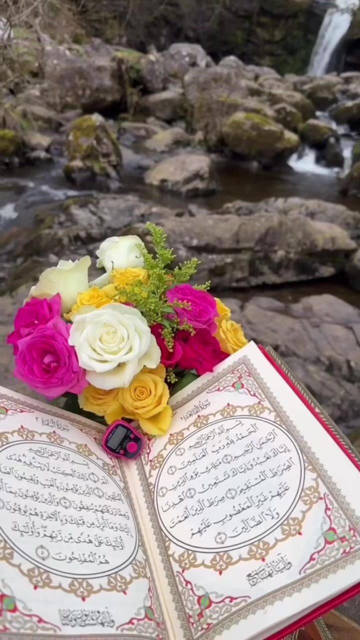 @MD Sahmad Raja🥀محمد صحمد رضا?