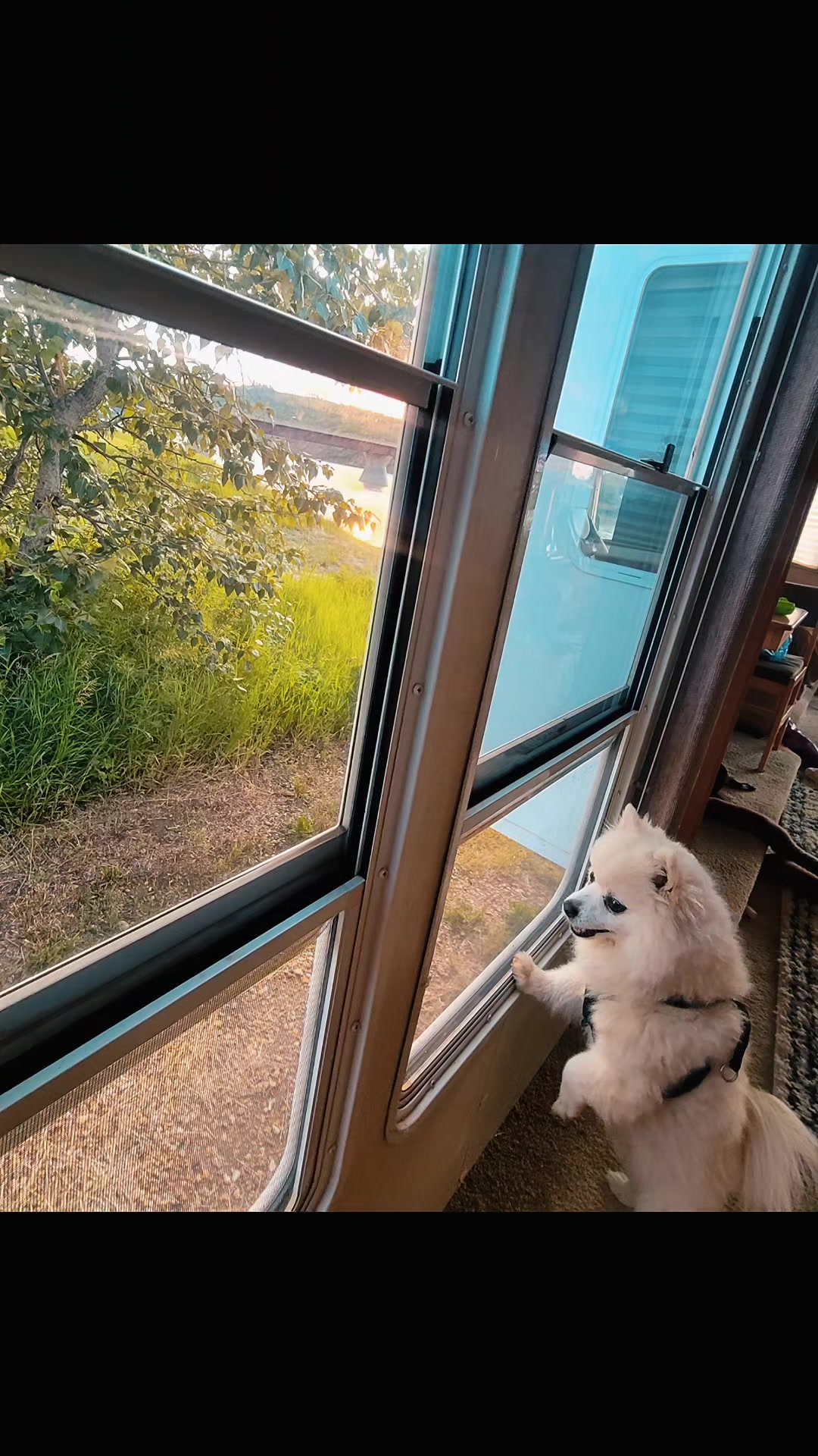 @Jayne(Janaya)✝️🐾☕️