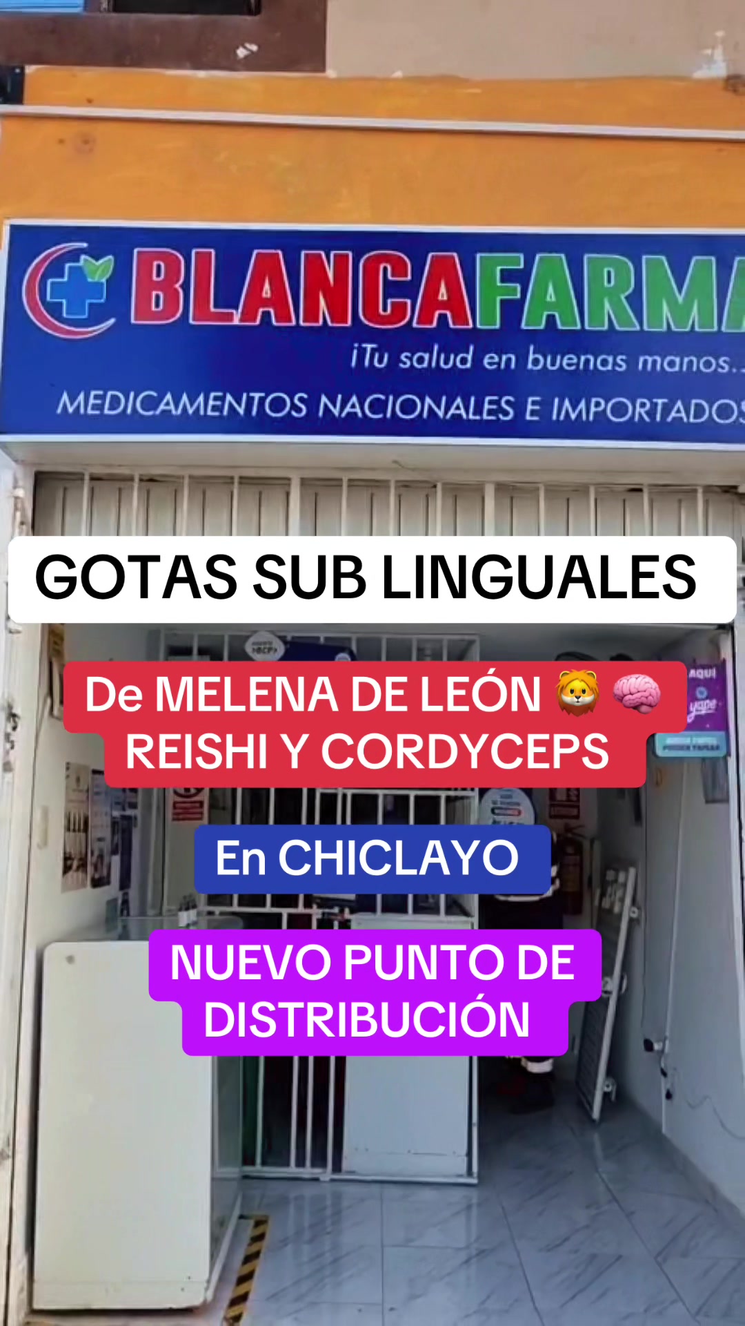 @qorapachamama